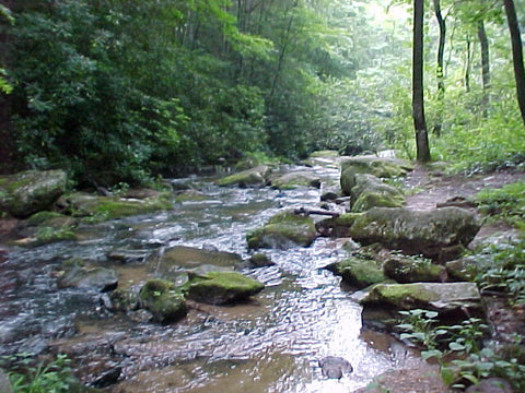 PRESCHOOLERS: CREEK ADVENTURES